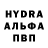 Конопля Bruce Banner sharon hardy