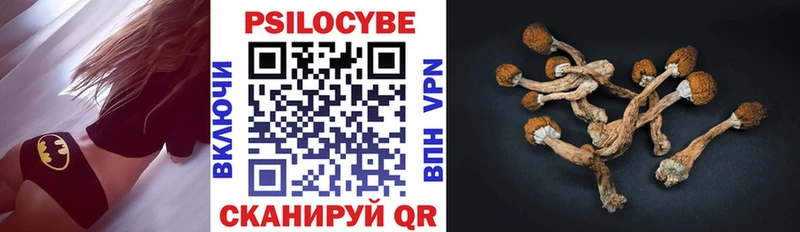 Псилоцибиновые грибы MAGIC MUSHROOMS  Купить где  Шенкурск 